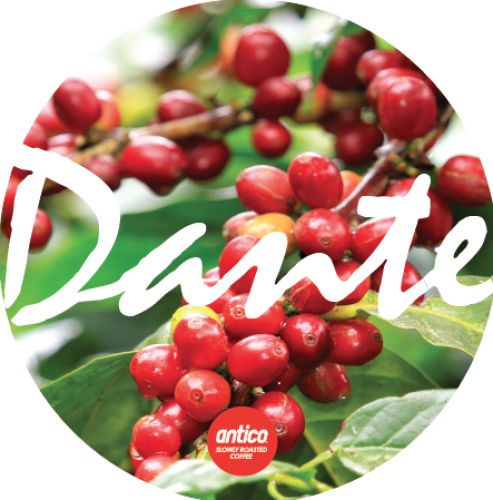 Dante Coffee Beans 1 Kg Bag 